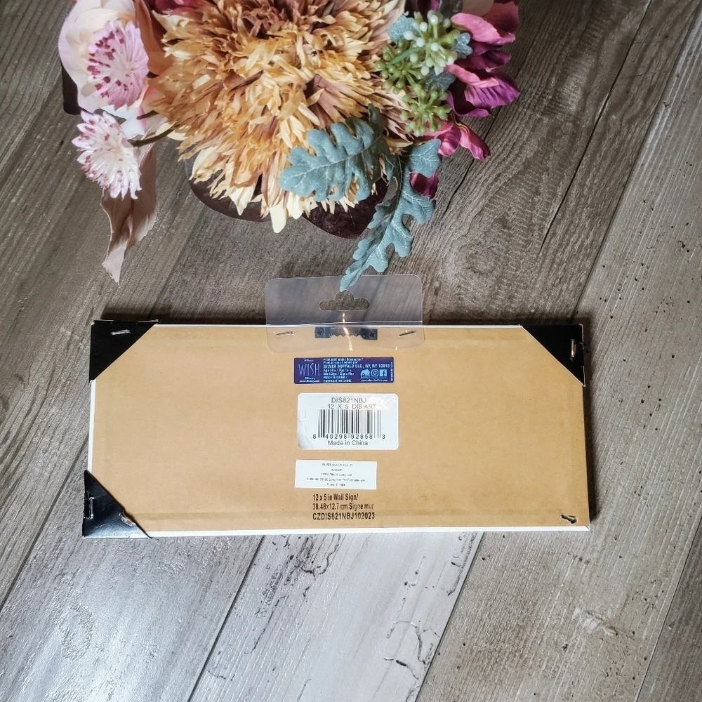 Disney nwt wish